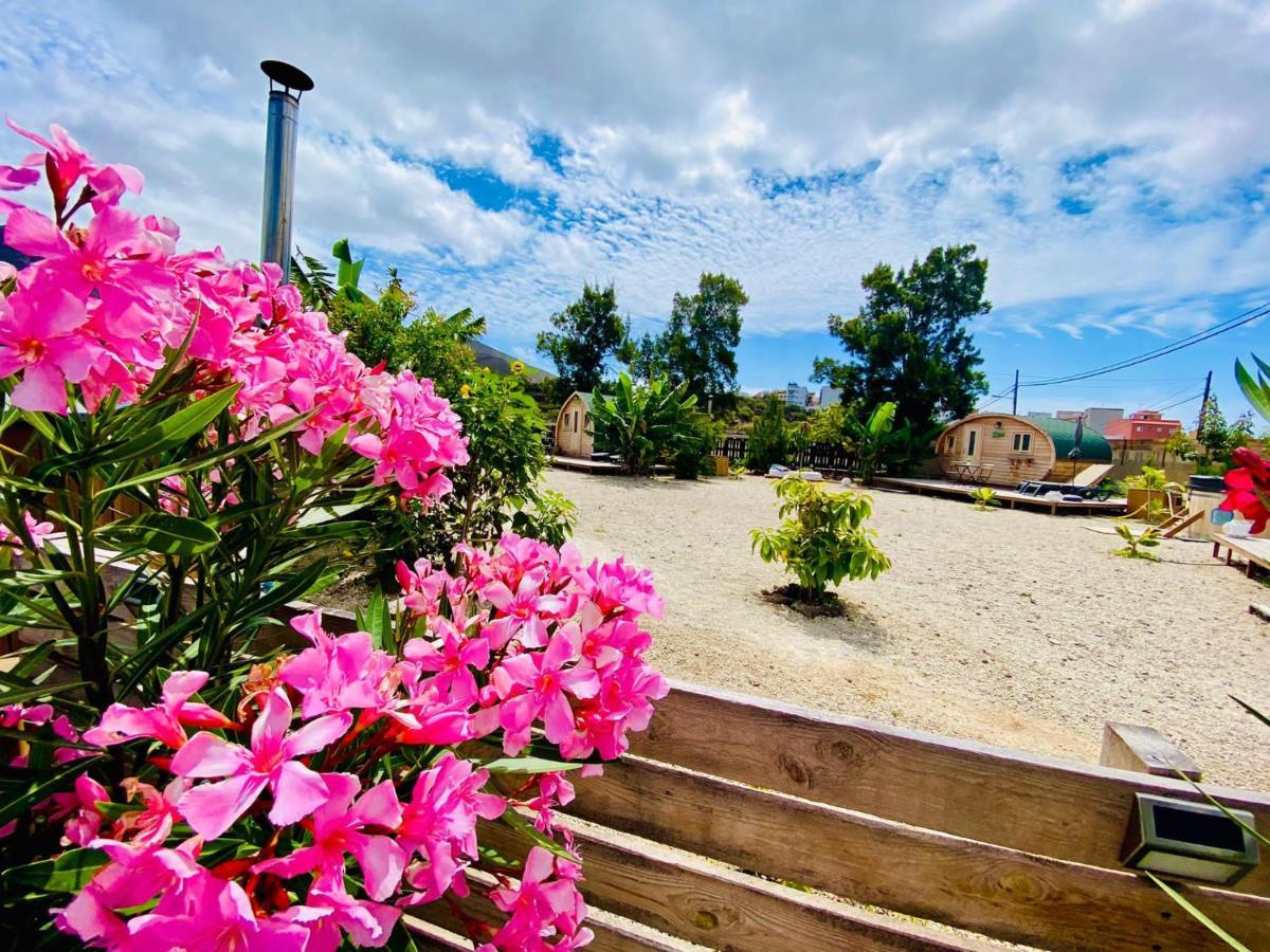 Arrebol Suite Con Jacuzzi, Piscina Y Naturaleza Buzanada Kültér fotó